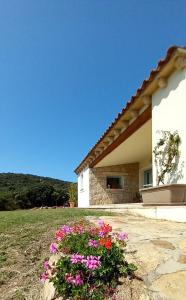 una casa con flores delante en A Casa di Viola o Villa Violetta, en Marina di Portisco