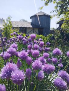 Vonkajšia záhrada v ubytovaní Domaine de la Ferté Clairbois