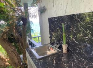 a kitchen sink with a plant on a counter at Tao Thong Villa 1 in Ko Tao