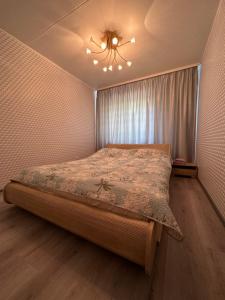 納爾瓦約埃蘇的住宿－Apartment on Karja，一间卧室配有一张床和吊扇
