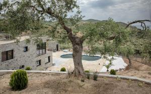 villa a في سكالا ماريون: شجره امام بيت فيه مسبح