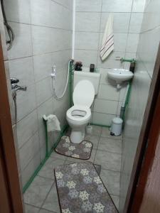 La petite salle de bains est pourvue de toilettes et d'un lavabo. dans l'établissement Kuća za odmor-Vikendica-, à Visoko