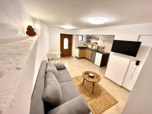 Villa 47 في موتشينيسكا دراغا: غرفة معيشة مع أريكة رمادية ومطبخ