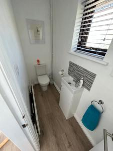 a white bathroom with a toilet and a window at Idyllic holiday near Abersoch in Mynytho