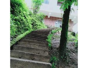 um conjunto de escadas em frente a um edifício em Basudhalaya Home Stay, Darjeeling em Darjeeling