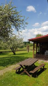 Czarna Dąbrówkaにある"Dolina szczęścia" Kartkowoの小屋の横の芝生のピクニックテーブル
