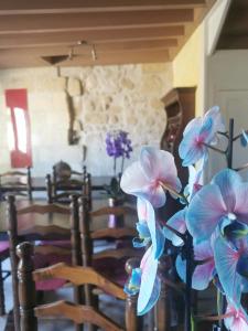 a bunch of purple and pink flowers in a room at Vignobles Fabris in Saint-Émilion