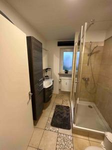 a bathroom with a shower and a sink at Ammersee Bungalow Verstecktes Juwel in Seenähe in Utting am Ammersee