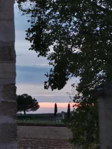 Galeriebild der Unterkunft Vignobles Fabris in Saint-Émilion + 29 Fotos