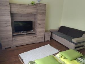 ein Wohnzimmer mit einem Sofa und einem Flachbild-TV in der Unterkunft Kurucz Vendégház Hajdúszoboszló in Hajdúszoboszló