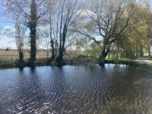 a body of water with trees in the background at Kapelhoeve in De Haan