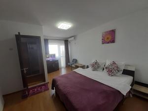 Postel nebo postele na pokoji v ubytování Vila Albatros