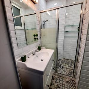 La salle de bains est pourvue d'un lavabo et d'une douche. dans l'établissement Cozy & Stylish apartment in the heart of Sofia, à Sofia