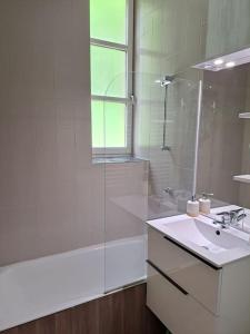 een witte badkamer met een wastafel en een douche bij Le Colibri - Appartement 4 à 6 couchages avec terrasse in Allemont