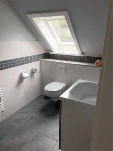 a bathroom with a toilet and a sink with a skylight at Friesenhof in Friedrichskoog +52 photos