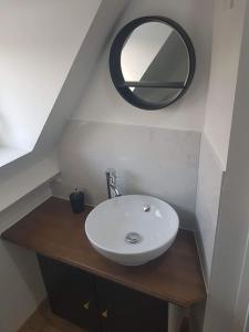 ein Bad mit einem Waschbecken und einem Spiegel in der Unterkunft Grand appartement, lumineux in Miniac-Morvan