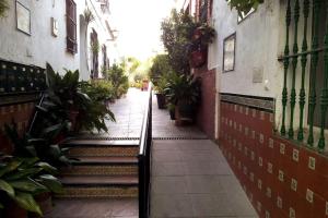 塞维利亚Típico y pintoresco patio de vecinos, con encanto的相册照片