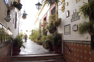 塞维利亚Típico y pintoresco patio de vecinos, con encanto的相册照片