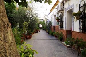 Típico y pintoresco patio de vecinos, con encanto外面的花园