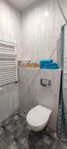 a bathroom with a white toilet and a shower at Zacisze Pod Bukami in Górnica