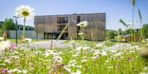 un campo de flores frente a un edificio en Euler Neuschönau - Naturhotel & Chalets, en Neuschönau