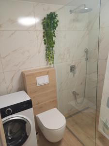 ein Bad mit einer Dusche, einem WC und einer Waschmaschine in der Unterkunft App Ruzica in Crikvenica