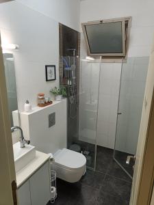 a bathroom with a shower and a toilet and a sink at Villa Magnolia in Manot in Manot