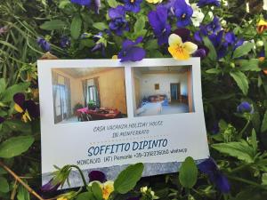 Vonkajšia záhrada v ubytovaní Soffitto Dipinto