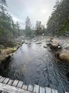 um riacho de água com uma ponte numa floresta em Ytterturingen 469 em Haverö
