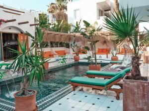 einen Pool mit Stühlen und Palmen in einem Hotel in der Unterkunft Casa De Nova Hotel in Gümbet