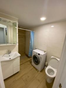 a bathroom with a washing machine next to a toilet at Апартаменти в парку in Uman