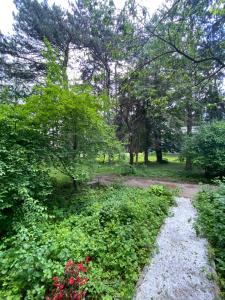 a path through a park with trees and flowers at Апартаменти в парку in Uman