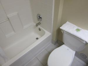 a bathroom with a white toilet and a tub and a sink at Yellowstone Lodge in West Yellowstone