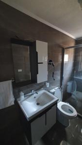 a bathroom with a sink and a toilet at Flat in Trpejca in Ohrid