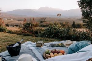 a picnic blanket with fruits and vegetables on a field at Inkungu Lodge in Champagne Valley