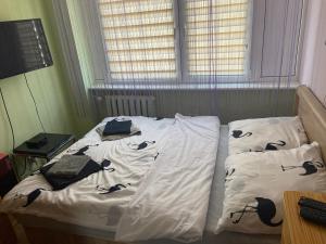 un letto con due cuscini sopra in una camera da letto di Mieszkanko na Traugutta a Płock