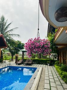 a house with a swimming pool and a hanging plant with pink flowers at Tam Coc Summer Bungalow in Ninh Binh
