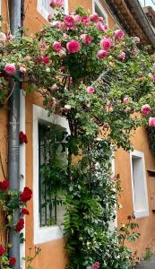 una ventana con flores en el lateral de un edificio en Chez Fanny, en Bédoin