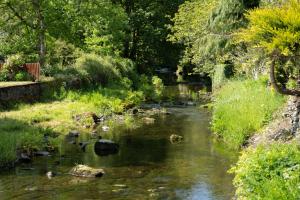 a river with rocks in the water and trees at Contemporary Home with Parking by LetMeStay in Kendal