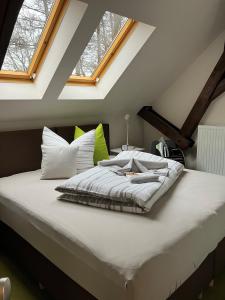 a large bed in a attic with skylights at Schönhagener Mühle in Pritzwalk