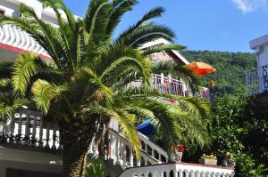 Gallery image of Apartments Radonjic in Budva