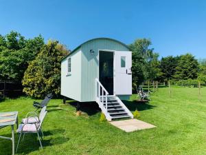 a small green building with a door and stairs at Bells Meadow Shepherds Hut in King's Lynn