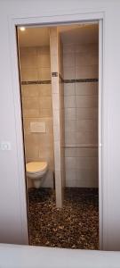 Bilik mandi di Logis Hotel Grangier