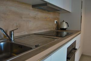 a kitchen with a sink and a counter top at Apartma Na Trati in Izola