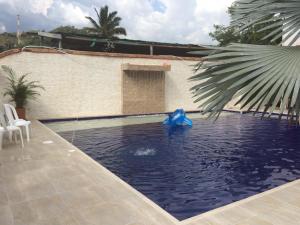 uma piscina com um item azul na água em Casa de Huespedes Villa Hermosa em La Vega