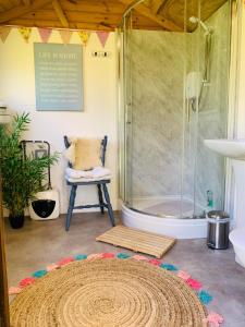 a bathroom with a shower and a chair and a rug at Bells Meadow Shepherds Hut in Kings Lynn
