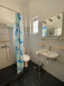 a bathroom with a sink and a toilet and a mirror at Blue Dolphin Studios and Apartment in Vaia