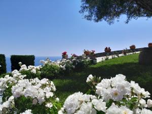 Φωτογραφία από το άλμπουμ του VILLA AGA σε Noli