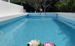 Бассейн в Pool Seaside Relais - VILLE Ninfea, Marea, Rosa e Cassiopea или поблизости