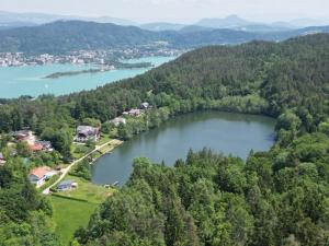 z powietrza widok na jezioro w lesie w obiekcie Landgasthof Trattnig w mieście Schiefling am See